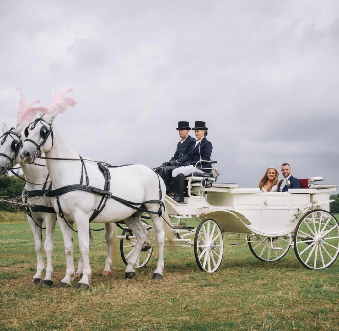 Gallery Image #slidesGrid5