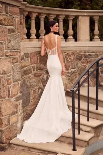 Paloma Blanca #P5183 #1 thumbnail