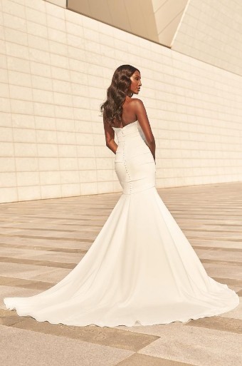 Paloma Blanca #4975 #15 thumbnail